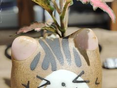 -王婆婆老妈蹄花川菜馆·非物质文化遗产(太古里一店)