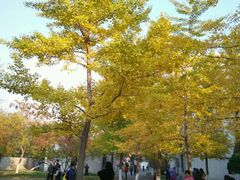 -辽宁大学(崇山校区)