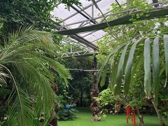-呀路古热带植物园