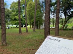 -南宁良凤江国家森林公园