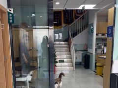 -中农大我爱我爱动物医院·核磁CT·猫病·24小时夜诊中心(石佛营店)