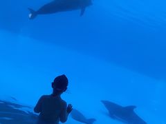 -横琴湾水世界