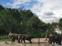 -清迈夜间动物园