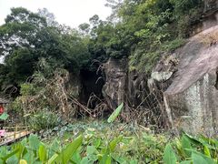 -广州莲花山旅游区