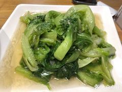 -三猫黑鱼花(南大店)
