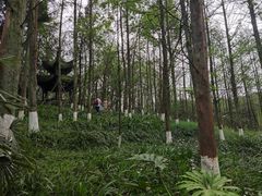 -重庆园博园