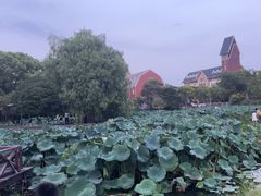 -美兰湖景区