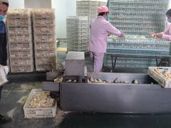 -兴芮温泉度假区