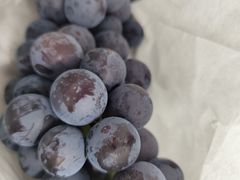 -马陆小张葡萄园农家乐