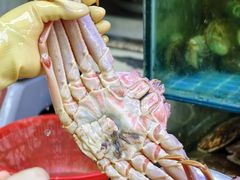 -震海贝烤贝·民俗特色店(延吉总店)