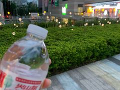 -喜家德虾仁水饺(华强天虹店)