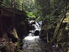 -德庆盘龙峡生态旅游区