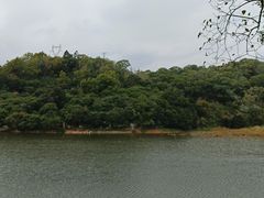 -火炉山森林公园