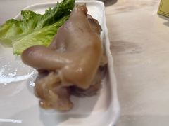 -丁老爷子苏香圆