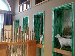 -亿百顺红焖羊排小馆(总店)