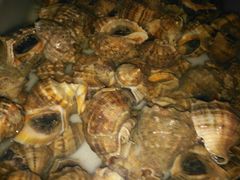 -宾朋海鲜特色美食餐厅·纯手工鲅鱼水饺(兴海路店)