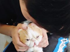 -万小咖.猫咖(中山路天虹店)
