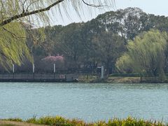 -鑫花溪牛肉米粉(广电传媒店)