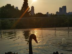 -行者书屋大堂吧 ·下午茶(南京圣和府邸酒店)