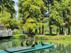 -星湖旅游景区七星岩