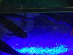 -大润发(王庄店)