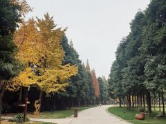 -金沙遗址博物馆