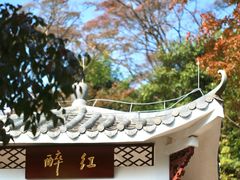 -广州市石门国家森林公园