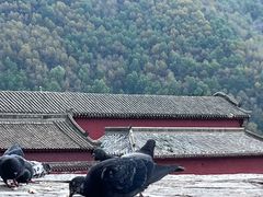 -五台山风景区