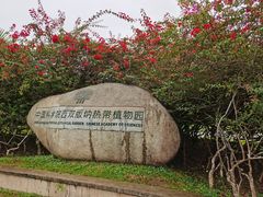 -中国科学院西双版纳热带植物园