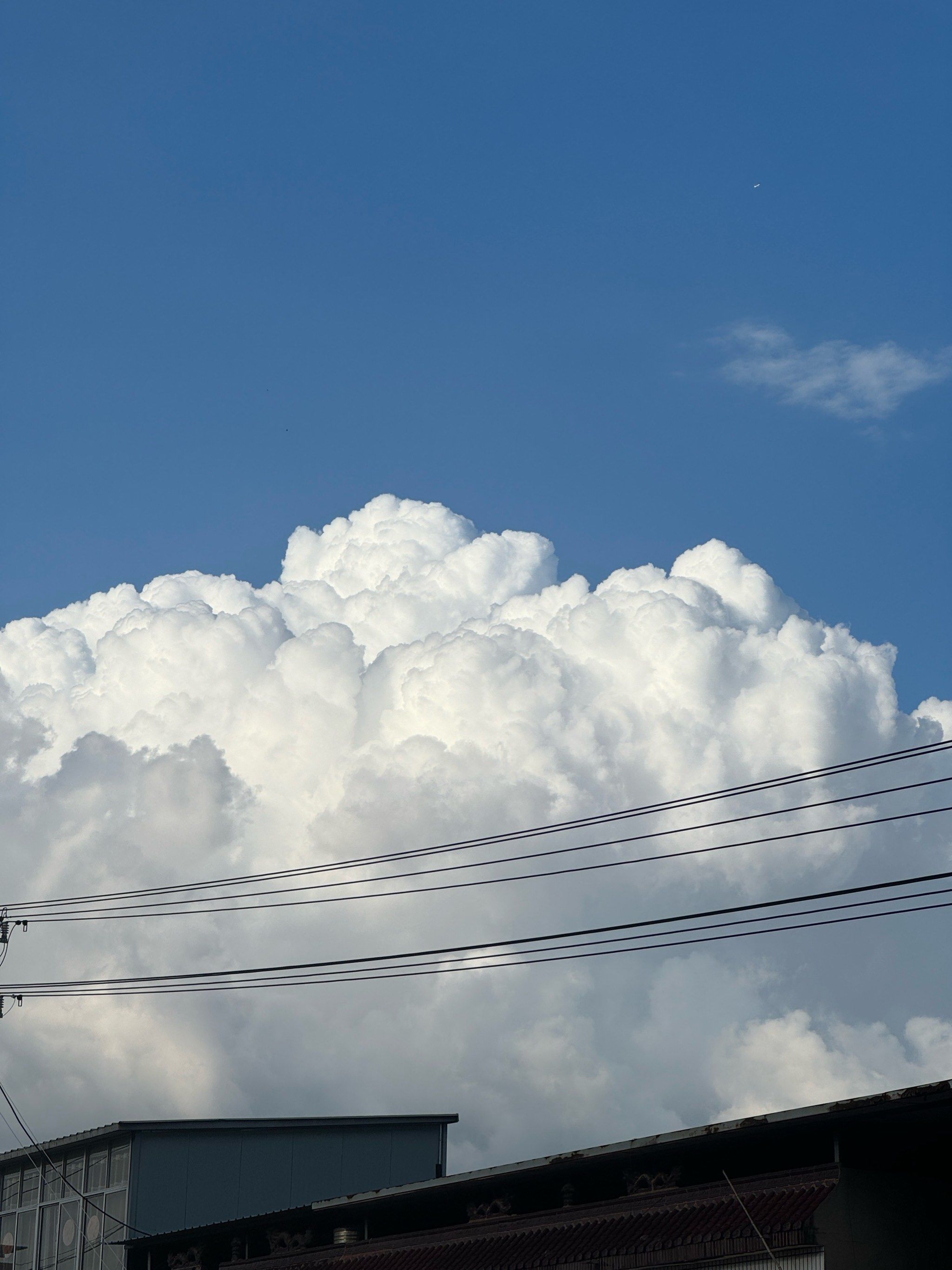 拿着云朵散步去