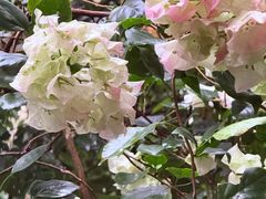 -绿房子方寸咖啡(星海名城店)