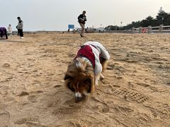 -日照灯塔风景区