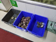 -七的湖·江南蟹舫·阳澄湖农家菜(蟹舫苑店)