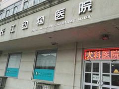 -瑞派长江宠物医院·猫科·外科·24小时夜护(谊城公寓分院)
