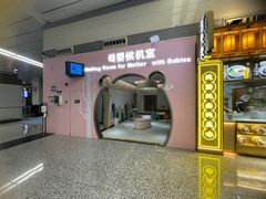 -石家庄正定国际机场-T2航站楼