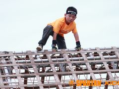 -春花秋色城市公园