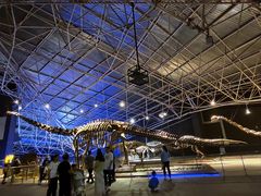 -世界恐龙谷景区