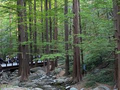 -国家植物园南园