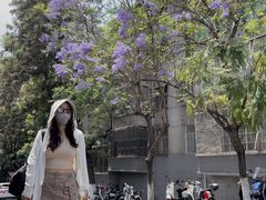 -熊氏牛羊杂粉(龙眼井总店)