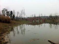 -白鹭湾湿地公园