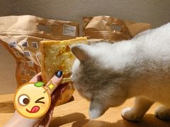 -京馔手工吐司(春熙路店)