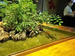 -森味薪火烧•烧鸟居酒屋•日本料理(望京店)