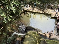 -莫干山风景区