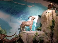 -重庆中国三峡博物馆(重庆博物馆)