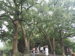 -蒋氏故居