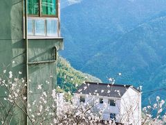 -四明山国家森林公园