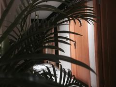 -Together·泰式按摩精油SPA(虹桥店)