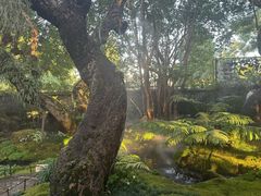 -Chom Cafe and Restaurant