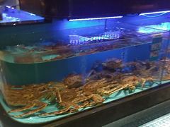 -阿伟海鲜楼·福建菜(延寿店)
