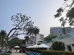 -JW万豪厨房餐厅·滨海草坪烧烤·海鲜·海景(三亚绿发山海天JW万豪酒店)
